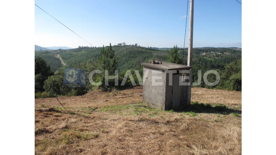 Terreno para Venda em Beco Foto 23