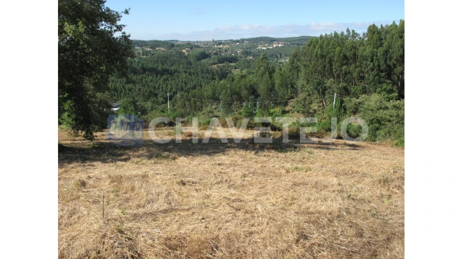 Terreno para Venda em Beco Foto 24