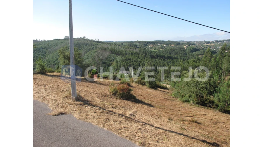 Terreno para Venda em Beco Foto 25