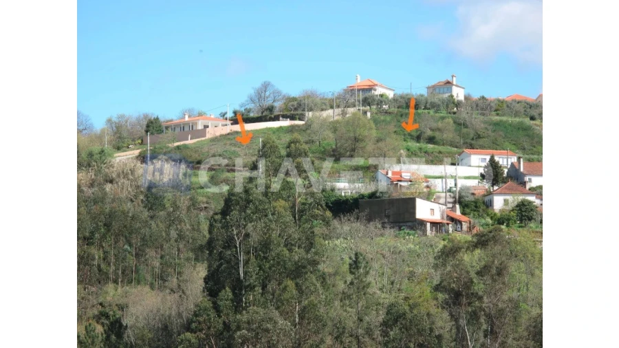 Terreno para Venda em Beco Foto 4