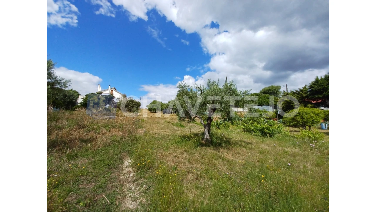 Terreno para Venda em Madalena e Beselga Foto 1