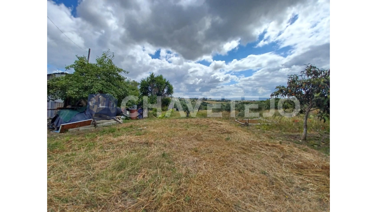 Terreno para Venda em Madalena e Beselga Foto 2