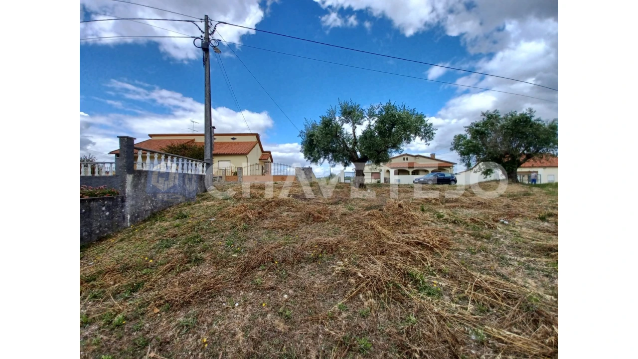 Terreno para Venda em Madalena e Beselga Foto 3