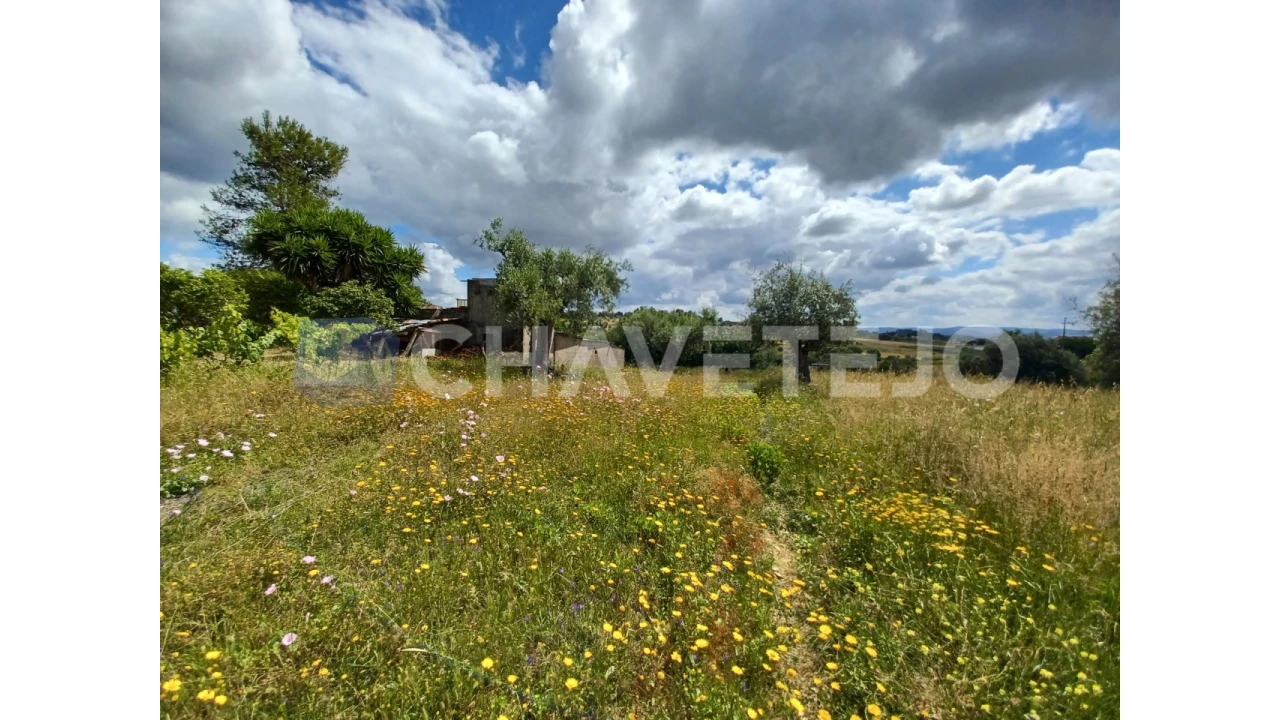 Terreno para Venda em Madalena e Beselga Foto 6