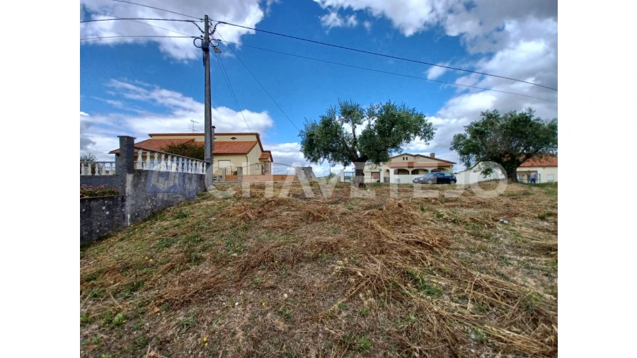 Terreno para Venda em Madalena e Beselga Foto 3