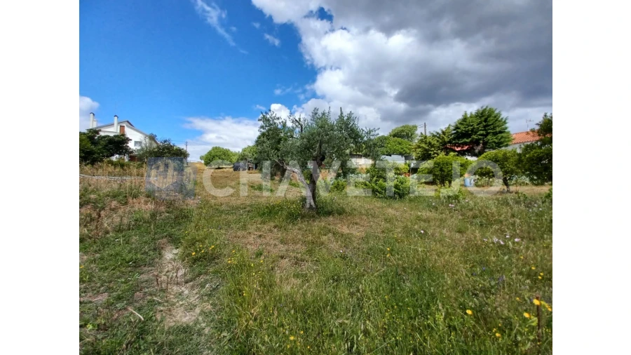 Terreno para Venda em Madalena e Beselga Foto 4