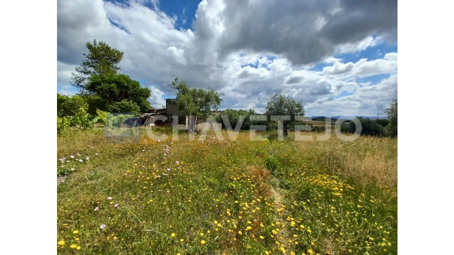 Terreno para Venda em Madalena e Beselga Foto 6