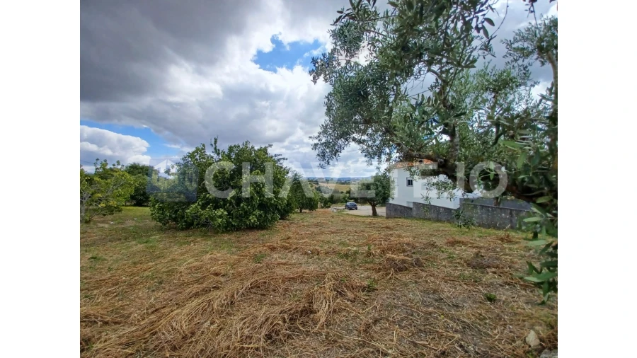 Terreno para Venda em Madalena e Beselga Foto 7