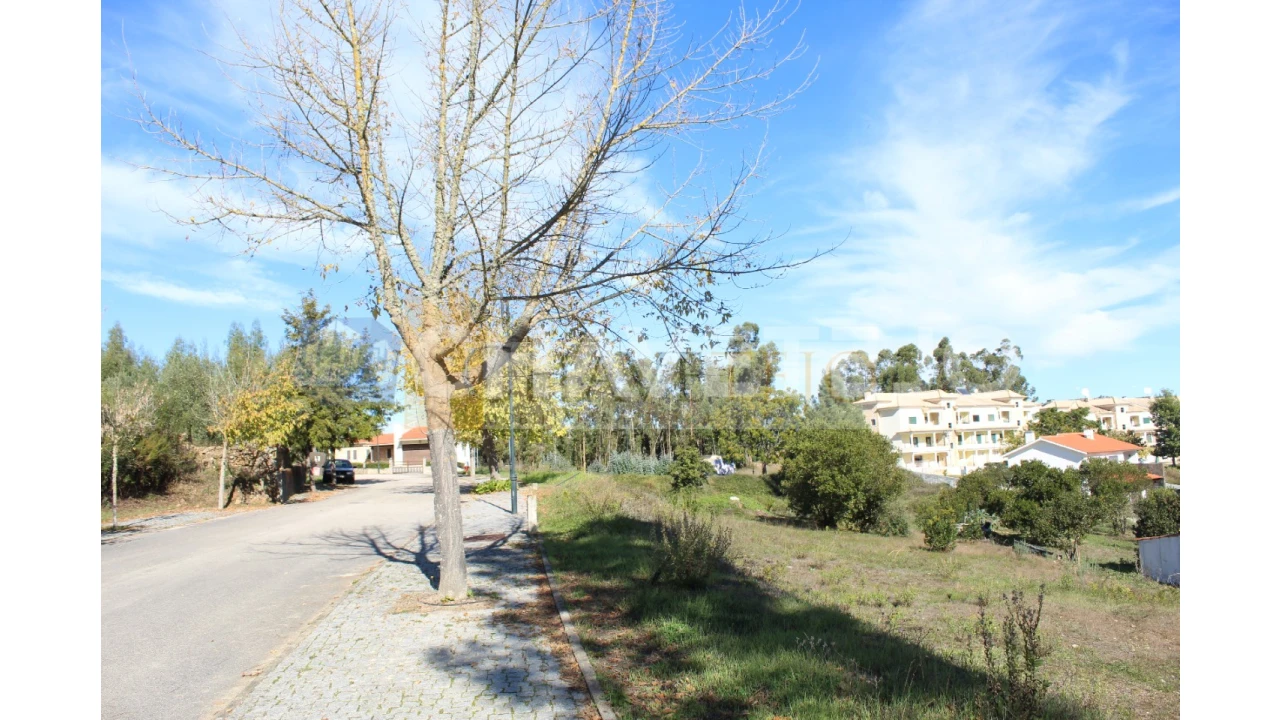 Terreno para Venda em Aguas Belas Foto 7