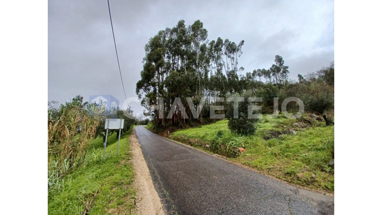 Terreno Agricola ou Rústico para Venda em Areias e Pias Foto 1