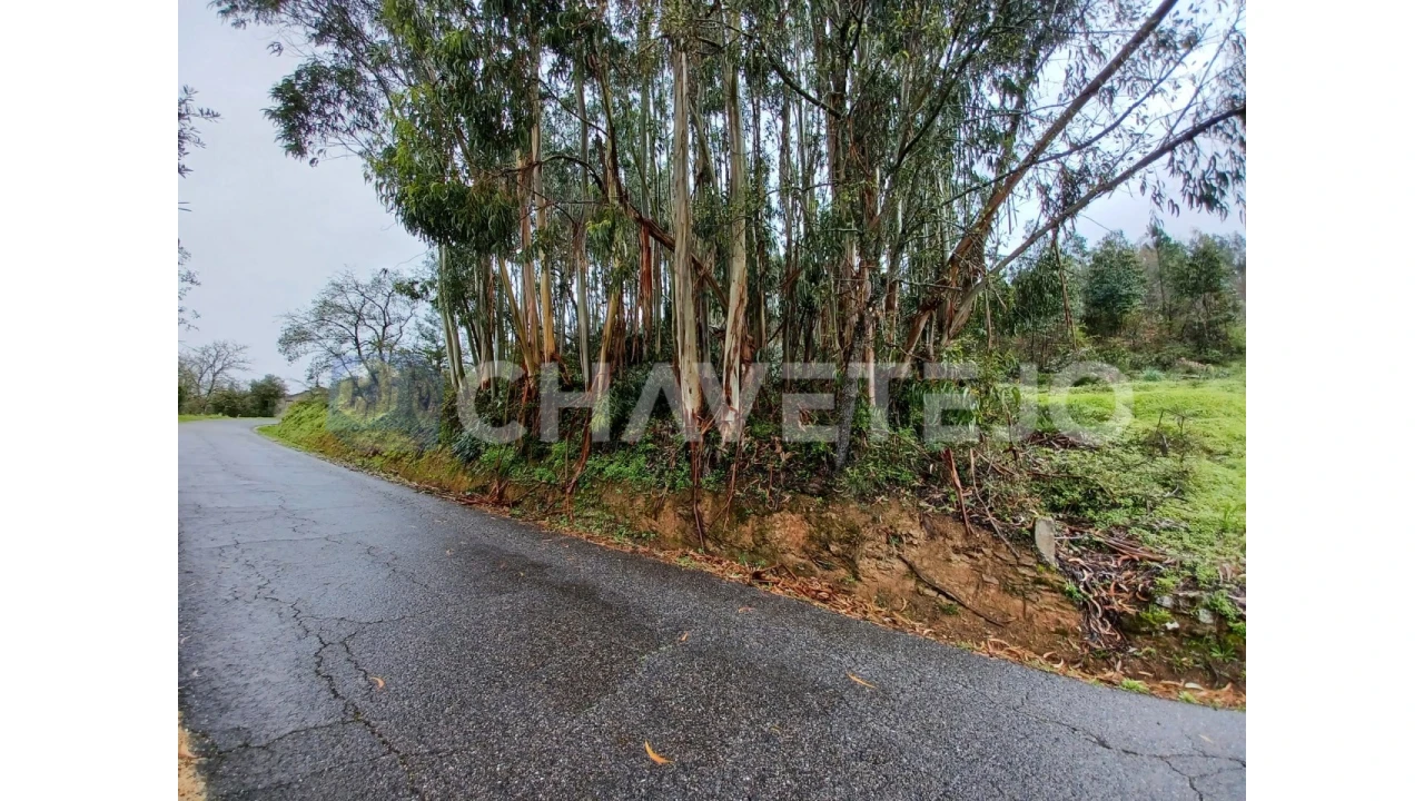 Terreno Agricola ou Rústico para Venda em Areias e Pias Foto 2