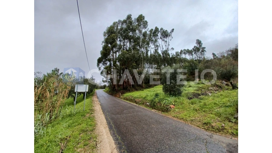 Terreno Agricola ou Rústico para Venda em Areias e Pias