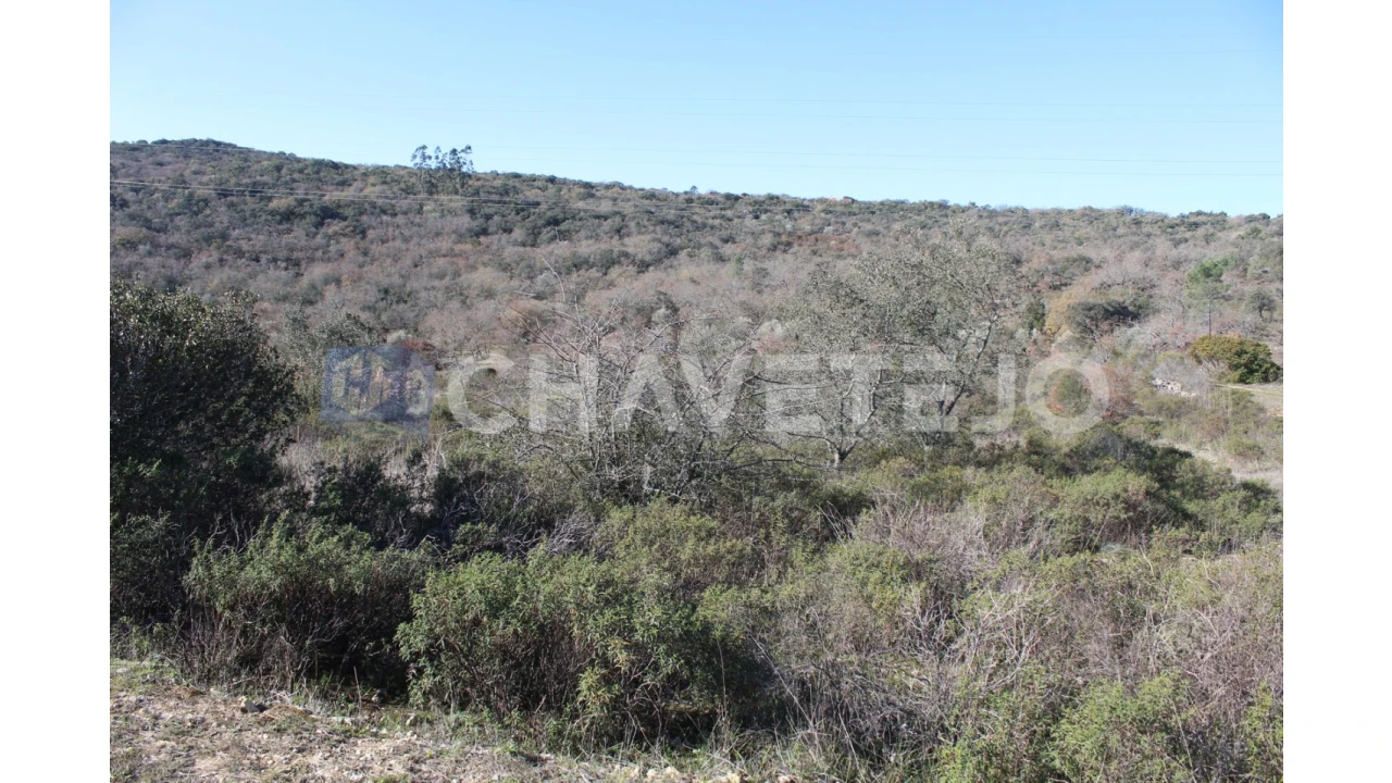 Terreno Agricola ou Rústico para Venda em Chãos Foto 1