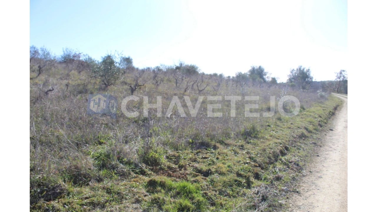 Terreno Agricola ou Rústico para Venda em Chãos Foto 4