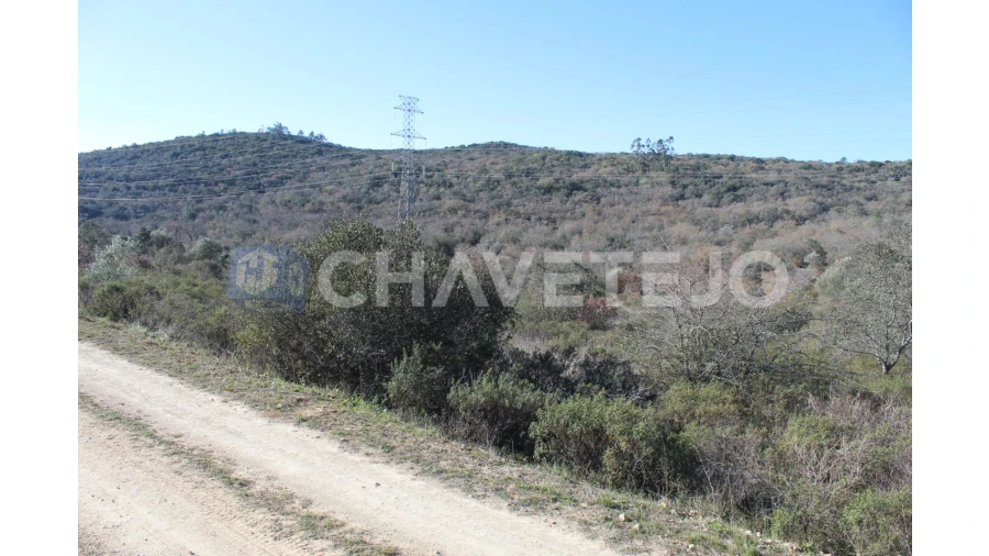 Terreno Agricola ou Rústico para Venda em Chãos Foto 2