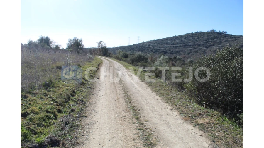 Terreno Agricola ou Rústico para Venda em Chãos Foto 3