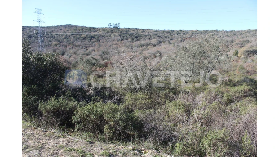 Terreno Agricola ou Rústico para Venda em Chãos Foto 6