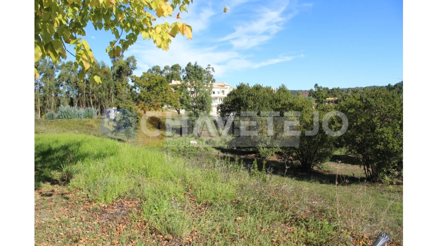 Terreno para Venda em Aguas Belas Foto 5