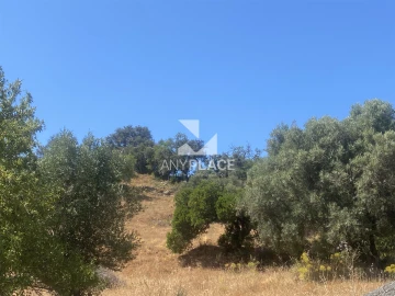 Terreno para Venda em Loule (São Clemente)