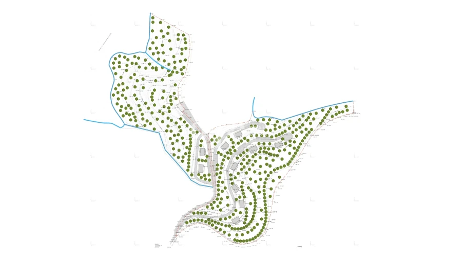 Terreno para Venda em Caniçada e Soengas Foto 12