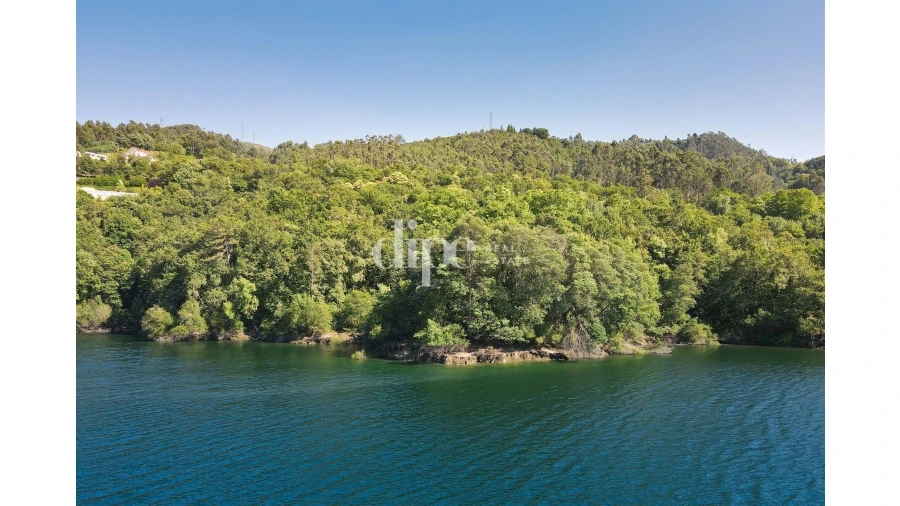 Terreno para Venda em Caniçada e Soengas Foto 3