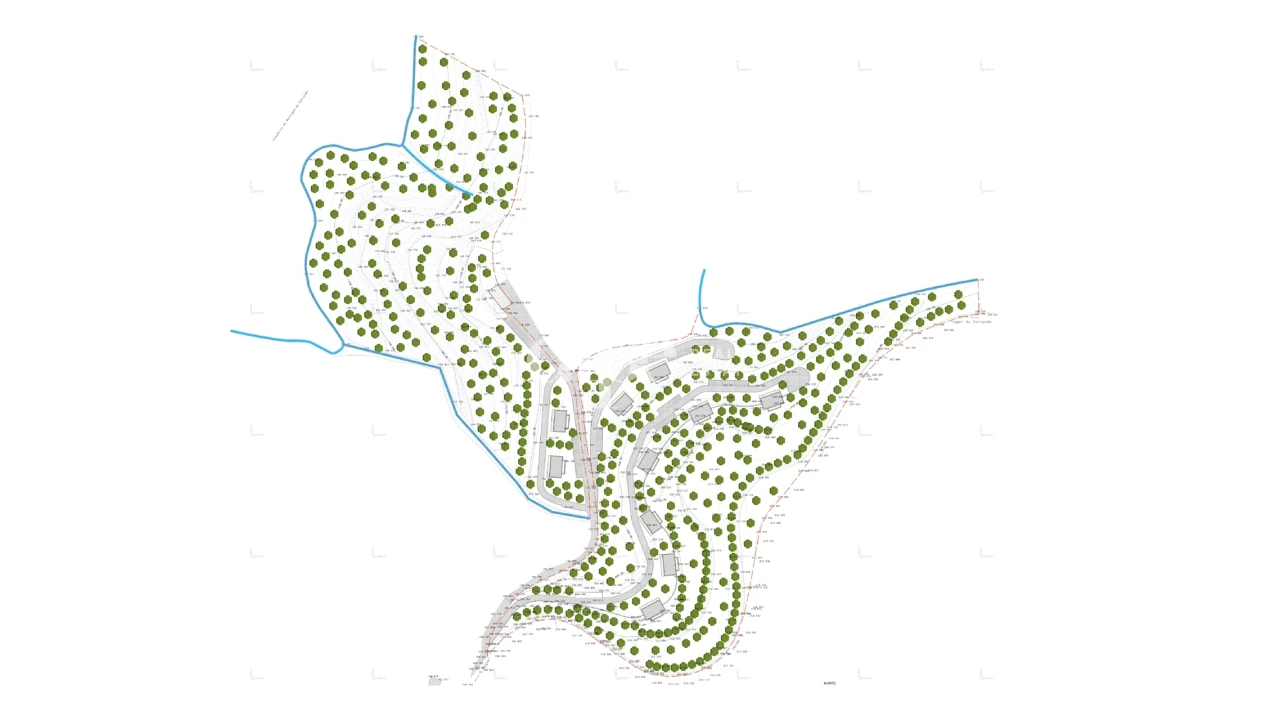 Terreno para Venda em Caniçada e Soengas Foto 12