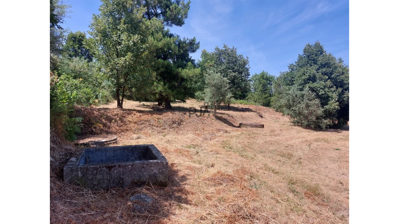 Terreno para Venda em Fornos de Algodres Foto 1