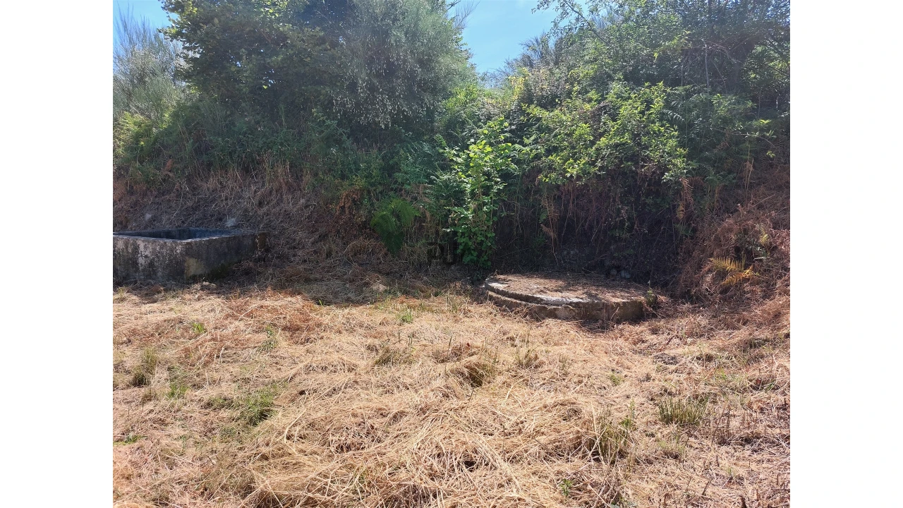 Terreno para Venda em Fornos de Algodres Foto 5
