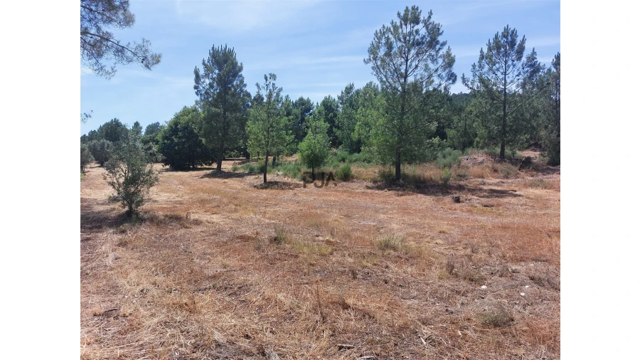 Terreno para Venda em Fornos de Algodres Foto 7