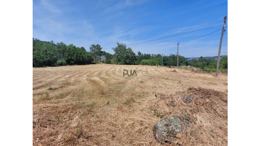 Terreno para Venda em Fornos de Algodres Foto 8