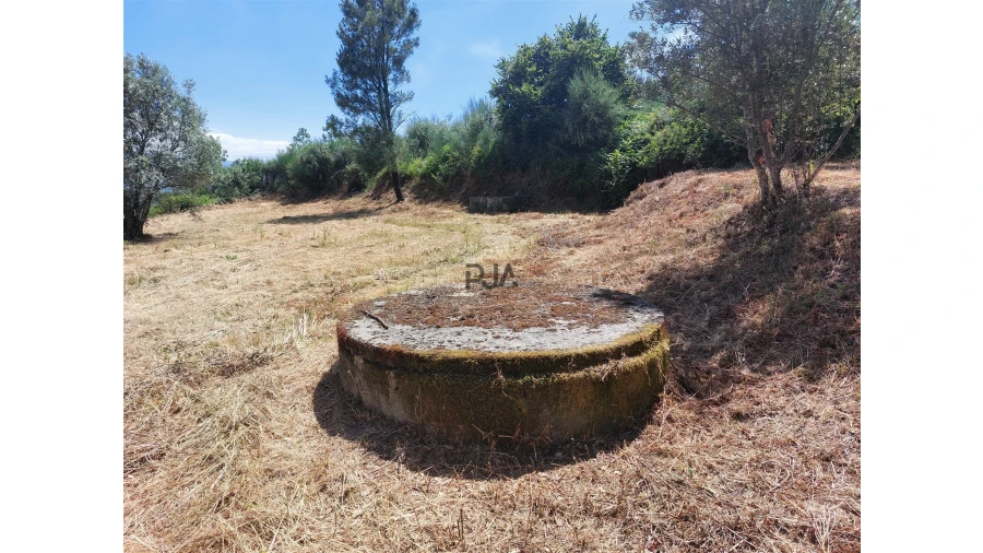 Terreno para Venda em Fornos de Algodres Foto 4