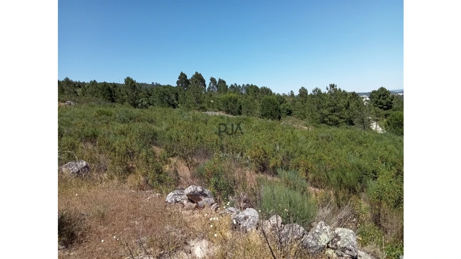 Terreno para Venda em Fornos de Algodres Foto 10