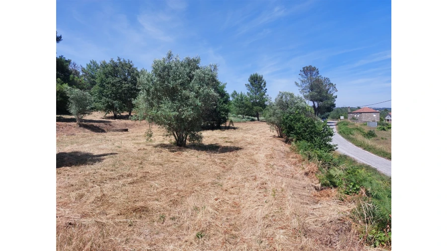 Terreno para Venda em Fornos de Algodres Foto 2