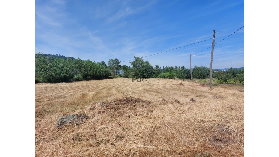 Terreno para Venda em Fornos de Algodres Foto 3