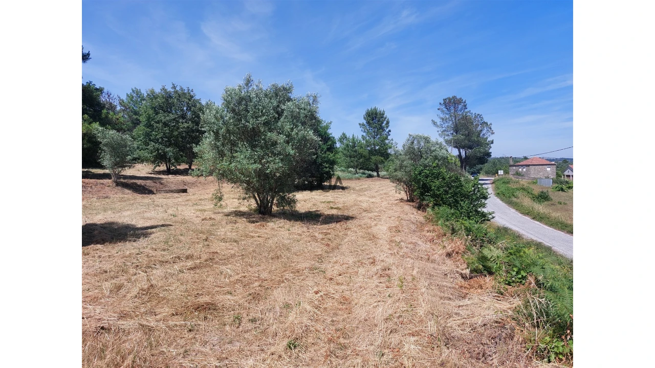Terreno para Venda em Fornos de Algodres Foto 2