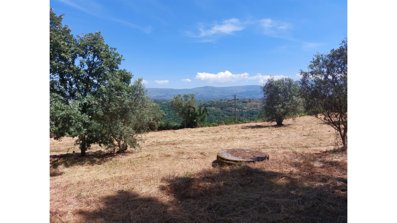 Terreno para Venda em Fornos de Algodres Foto 6
