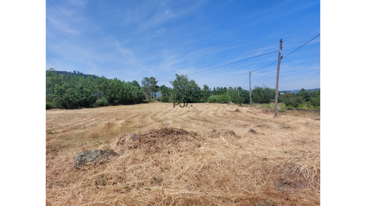 Terreno para Venda em Fornos de Algodres Foto 3