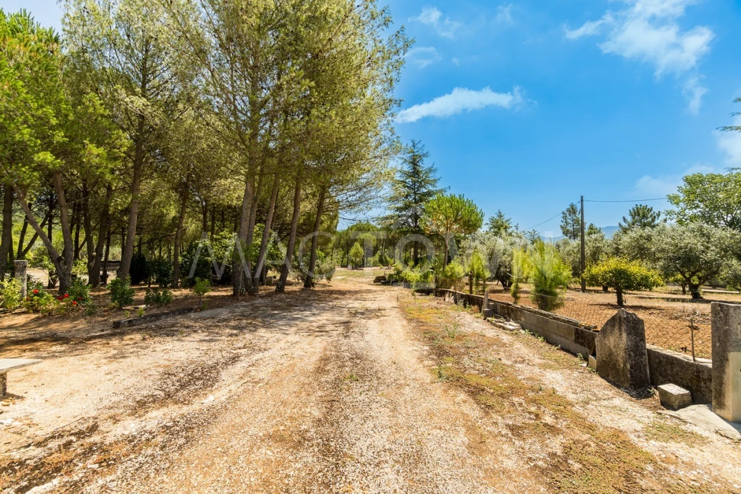 Quinta T2 para Venda em Mira de Aire Foto 15
