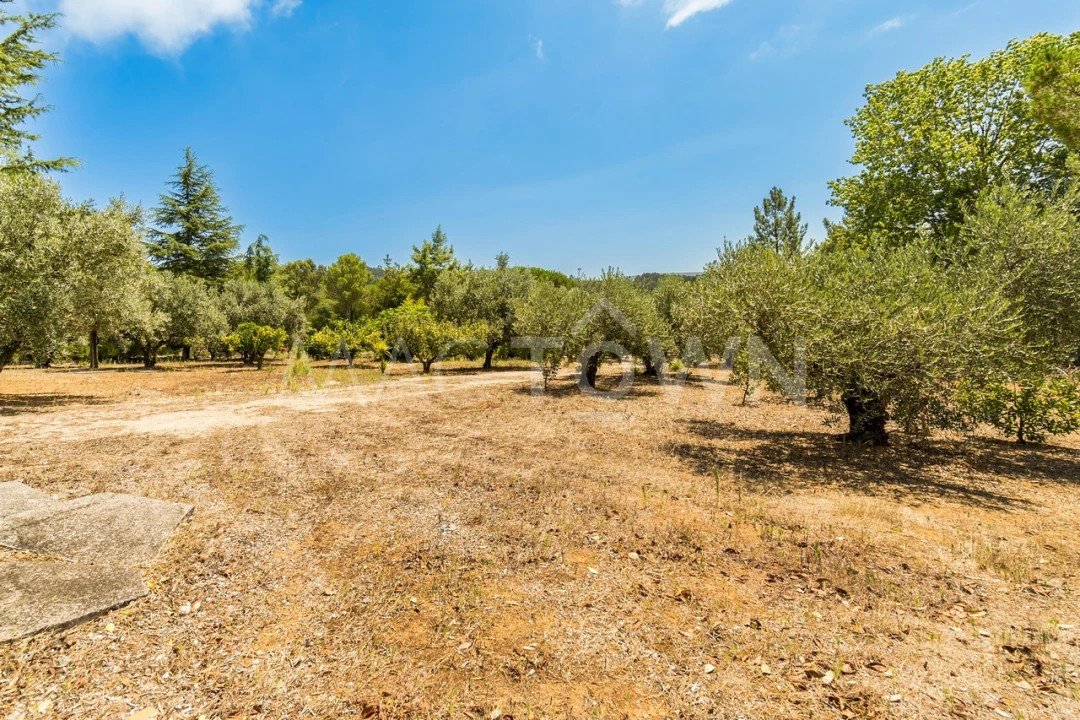 Quinta T2 para Venda em Mira de Aire Foto 17