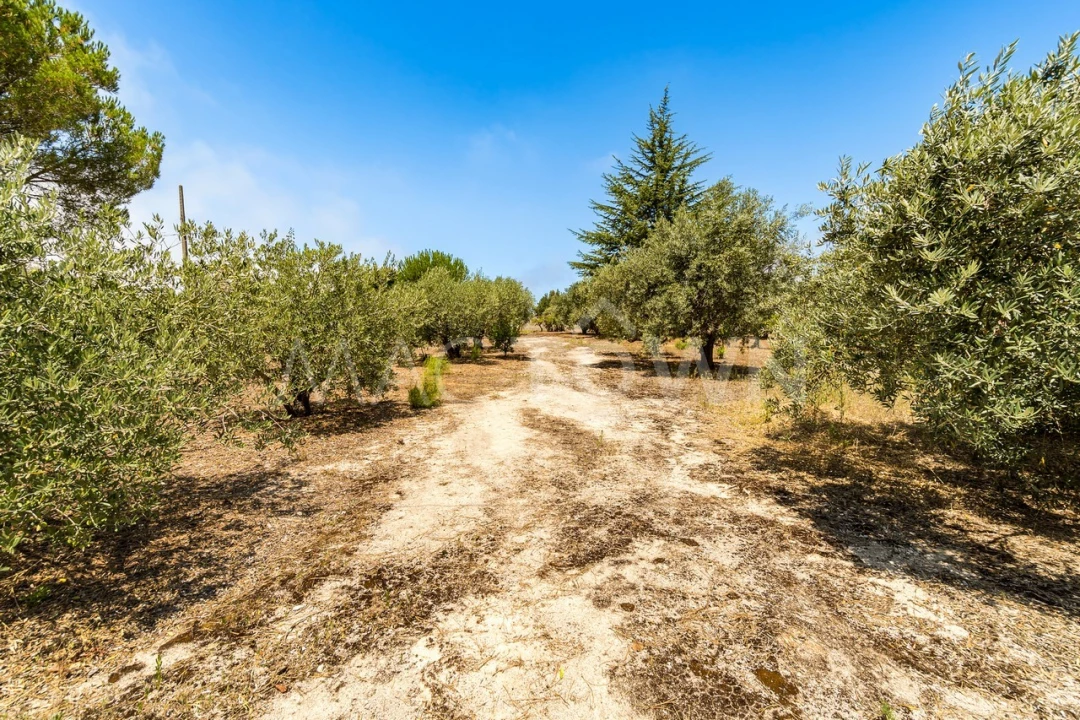Quinta T2 para Venda em Mira de Aire Foto 19