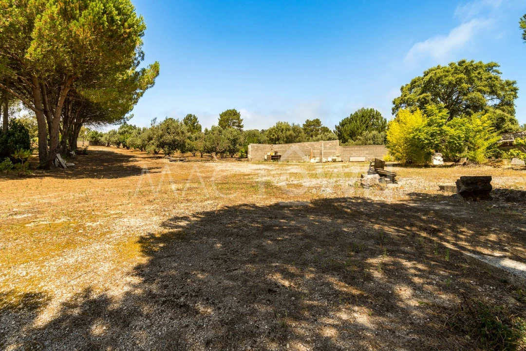 Quinta T2 para Venda em Mira de Aire Foto 21