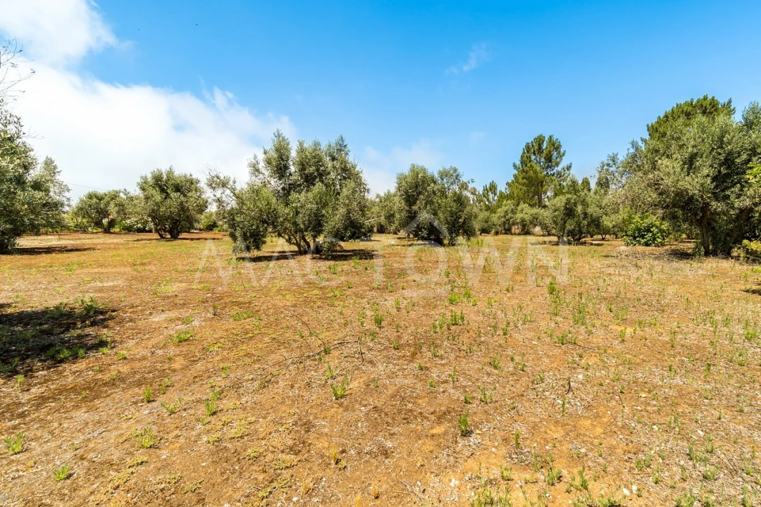 Quinta T2 para Venda em Mira de Aire Foto 24