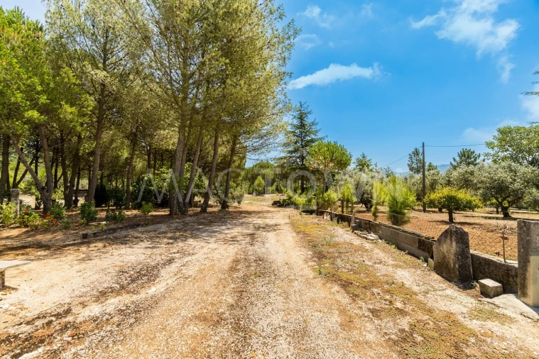 Quinta T2 para Venda em Mira de Aire Foto 15