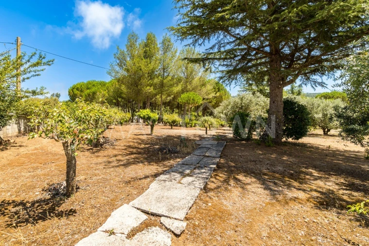 Quinta T2 para Venda em Mira de Aire Foto 16