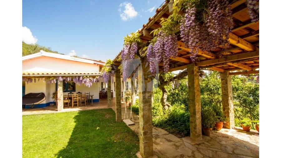 Quinta para Venda em Santa Clara-A-Velha Foto 11