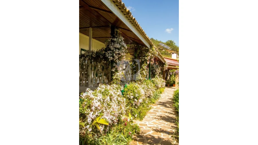 Quinta para Venda em Santa Clara-A-Velha Foto 23