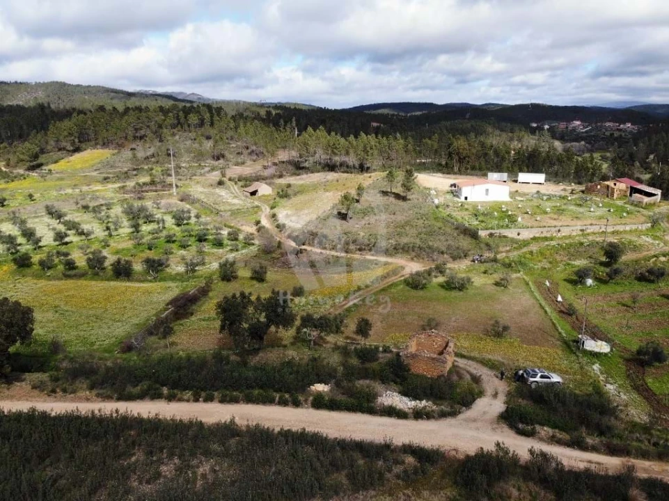 Terreno Agricola ou Rústico para Venda em Sarzedas Foto 1
