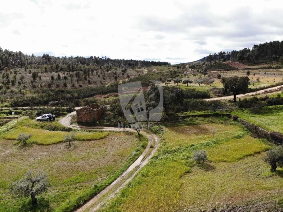 Terreno Agricola ou Rústico para Venda em Sarzedas Foto 24