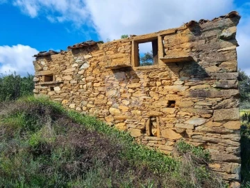 Terreno Agricola ou Rústico para Venda em Sarzedas