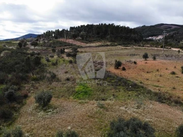 Terreno Agricola ou Rústico para Venda em Sarzedas